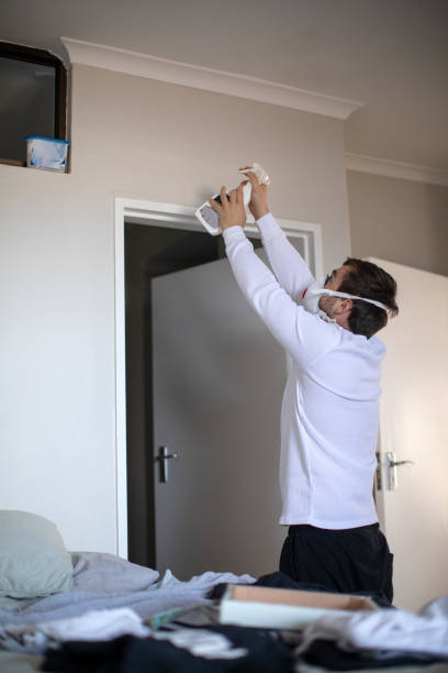 Best Mold Odor Removal Services  in Burlingame, CA