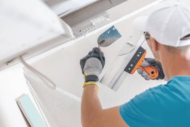 Best Airborne Mold Testing  in Burlingame, CA